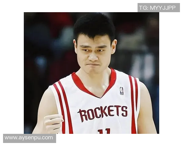 姚明在小牛队的辉煌数据与影响力分析